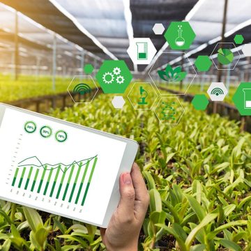 TUNISIA. L’INTELLIGENZA ARTIFICIALE PUO’ MIGLIORARE L’IRRIGAZIONE