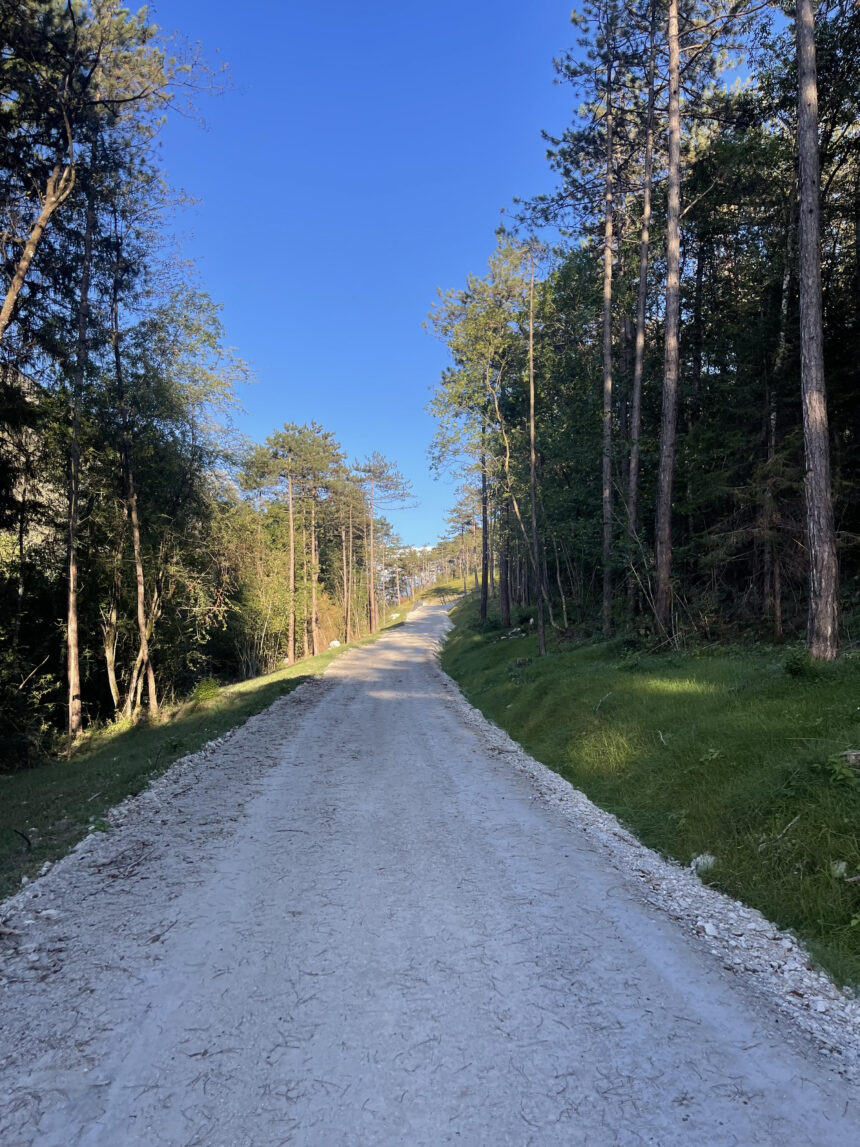 unnamed-5 TURISMO. FVG. UNA ESTATE COMPLESSA PER LA MONTAGANA. SI SALVANO RESIA E TARVISIO. COMPLICE LA CICLABILE ALPE ADRIA