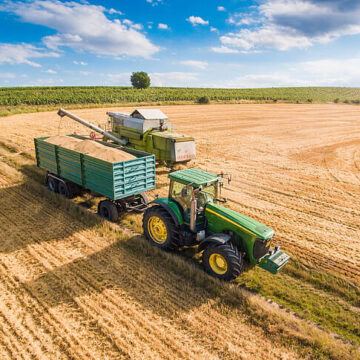 FOOD. LAZIO. ITALIA SECONDO PRODUTTORE UE DI ORTAGGI, AL PRIMO POSTO PER POMODORI