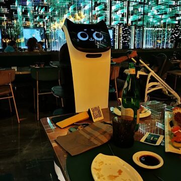 TECNOLOGIA. CINA. DALLA FANTASCIENZA ALLA FABBRICA: IL REPORTAGE DEL GUARDIAN NEL CUORE DELLA RIVOLUZIONE ROBOTICA CINESE