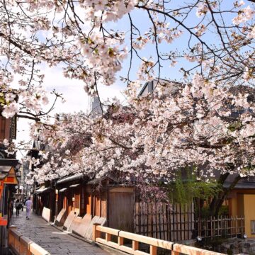 CLIMA. GIAPPONE. SAKURA 2026: IL GIAPPONE FIORISCE IN ANTICIPO, IL CLIMA SCRIVE I RITMI DELLA NATURA