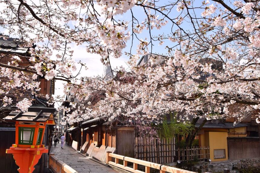 Gion_sakura_(51472103897) CLIMA. GIAPPONE. SAKURA 2026: IL GIAPPONE FIORISCE IN ANTICIPO, IL CLIMA SCRIVE I RITMI DELLA NATURA