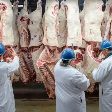 FOOD. BELGIO. SICUREZZA ALIMENTARE A RISCHIO? IL NODO DELLA CARNE EXTRA-UE E L’ACCORDO MERCOSUR