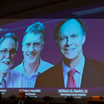unnamed Nobel. Svezia. Premio Nobel per la Medicina 2026: l’Optogenetica e la rivoluzione del controllo dei neuroni