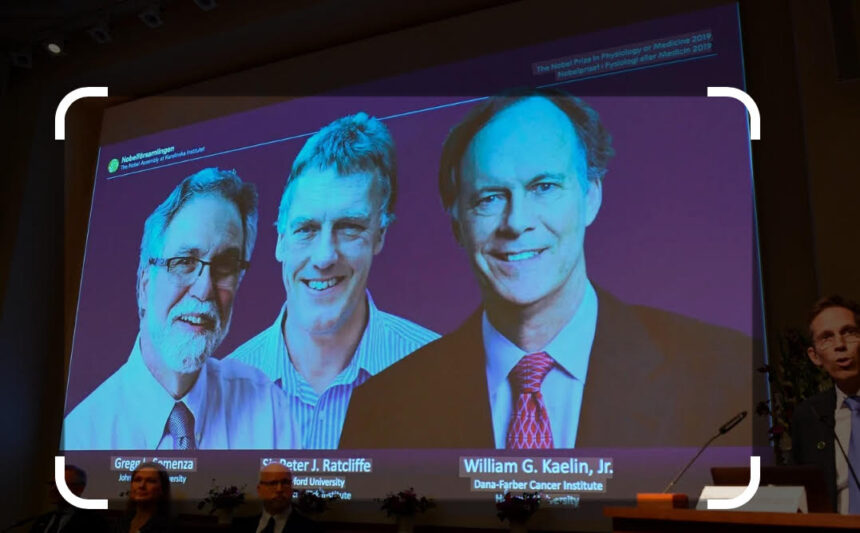 unnamed Nobel. Svezia. Premio Nobel per la Medicina 2026: l’Optogenetica e la rivoluzione del controllo dei neuroni